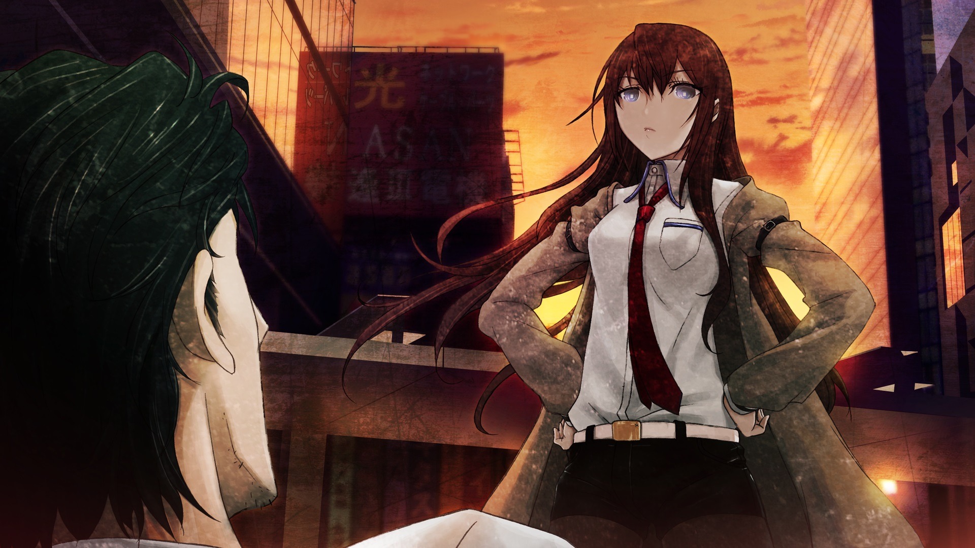 Steins gate cg